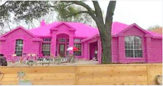 Guy has neighbors upset after he paints his whole house hot pink