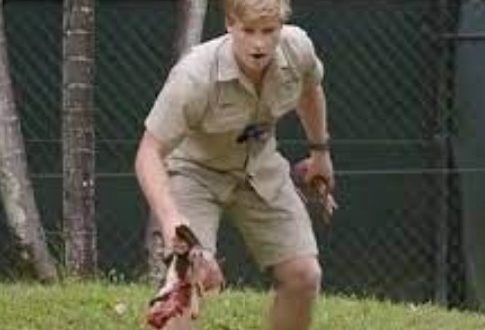 Robert Irwin gets bitten in the face by same species snake which attacked late dad Steve Irwin – scary resemblance